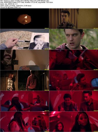 Victor Crowley 2017 BluRay 720p DTS x264-MTeam