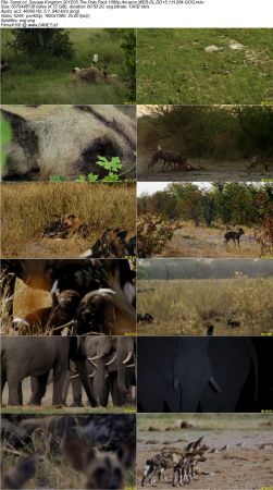 Savage Kingdom S01 1080p Amazon WEB-DL DD5.1 H264-QOQ