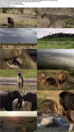 Savage Kingdom S01 1080p Amazon WEB-DL DD5.1 H264-QOQ