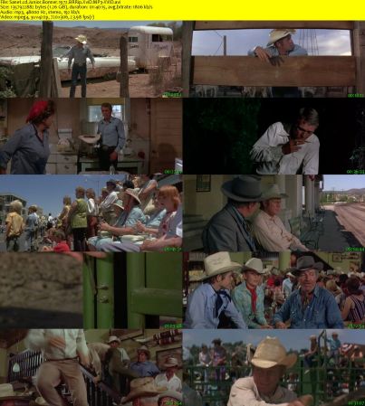 Junior Bonner 1972 BRRip XviD MP3-XVID