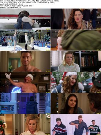 A Bad Moms Christmas 2017 720p WEB-DL X264 AC3-EVO