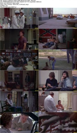 Silkwood 1983 1080p Bluray AC3 x264 AdiT