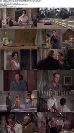 Cat on a Hot Tin Roof 1958 1080p Bluray AC3 x264 AdiT