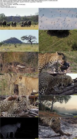 Savage Kingdom S01 1080p Amazon WEB-DL DD5.1 H264-QOQ
