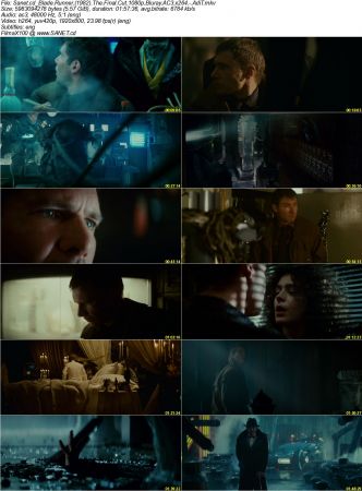 Blade Runner 1982 The Final Cut 1080p Bluray AC3 x264 AdiT