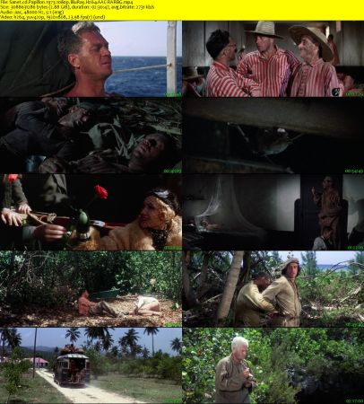 Papillon 1973 1080p BluRay H264 AAC-RARBG