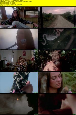Pick-Up 1975 720p BluRay x264-x0r