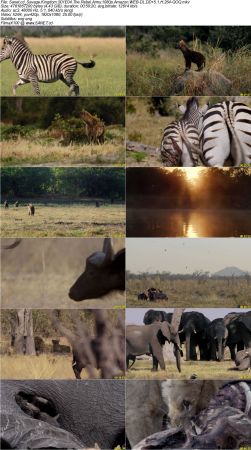 Savage Kingdom S01 1080p Amazon WEB-DL DD5.1 H264-QOQ
