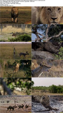 Savage Kingdom S01 1080p Amazon WEB-DL DD5.1 H264-QOQ