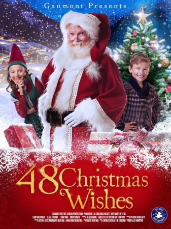 48 Christmas Wishes 2017 WEBRip x264-ION10