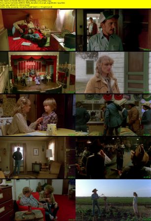 Tender Mercies 1983 WEBRip x264-ION10