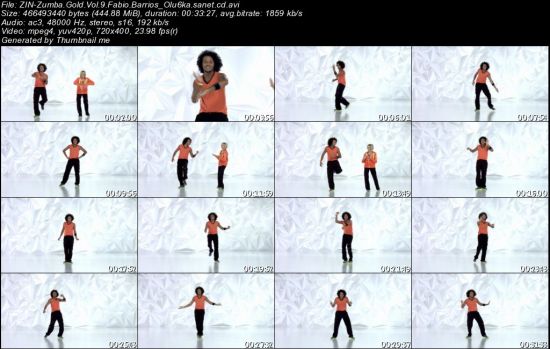 Zumba® Fitness - ZIN Zumba Gold - Vol. 9 2012