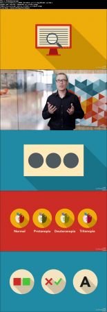 Interaction Design for the Web