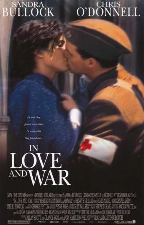 In Love and War 1996 WEB-DL x264-ION10