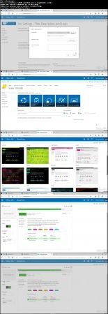 SharePoint Online 2017: Beyond the Basics