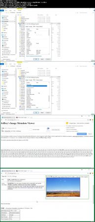 Investigation of Hidden Data in Digital Files