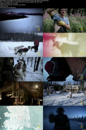 Life Below Zero S10E00 Hounds of the Arctic 720p HDTV x264-DHD