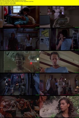 Certain Fury 1985 720p BluRay x264-x0r