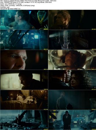 Blade Runner 1982 The Final Cut 720p Bluray AC3 x264 AdiT