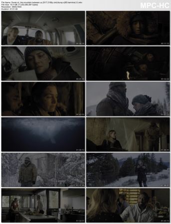 The Mountain Between Us 2017 2160p UHD BluRay x265-TERMiNAL
