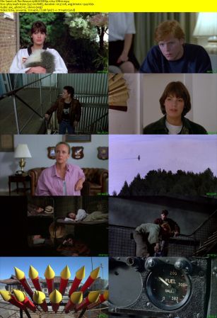The Rescue 1988 WEBRip x264-ION10
