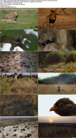 Savage Kingdom S01 1080p Amazon WEB-DL DD5.1 H264-QOQ