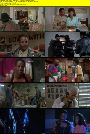 Im Gonna Git You Sucka 1988 720p BluRay x264-x0r