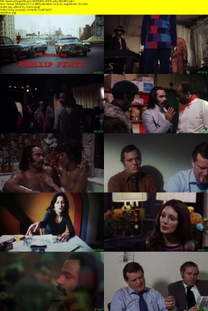 Superfly 1972 iNTERNAL HDTV x264-REGRET