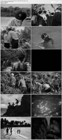 Lord of the Flies 1963 Criterion 1080p Bluray x265 HEVC 10bit AAC 1.0 Tigole