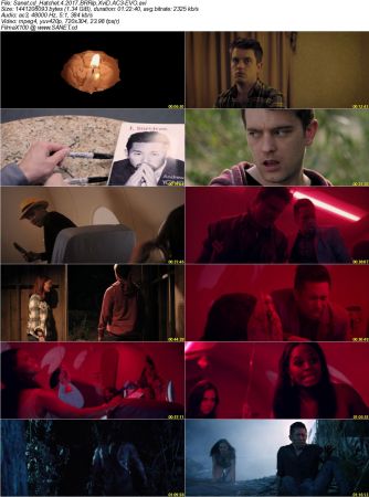 Hatchet 4 2017 BRRip XviD AC3-EVO