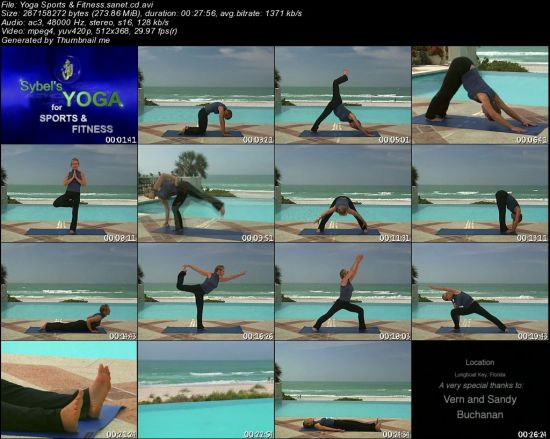 Sybel Boss: Yoga for Sports &amp; Fitness Volume 1 2007