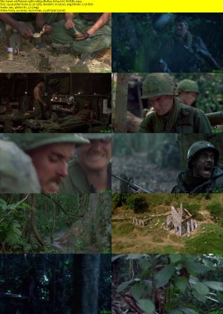 Platoon 1986 1080p BluRay H264 AAC-RARBG