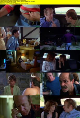 Sitting Ducks 1980 WEBRip x264-ION10