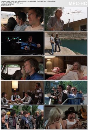 Any Way Which Way You Can 1980 BluRay 10Bit 1080p DD5.1 H265-d3g
