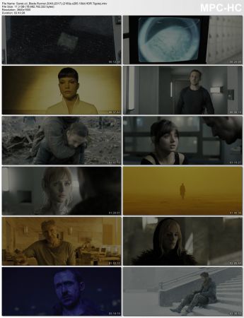 Blade Runner 2049 2017 2160p BluRay x265 HEVC 10bit HDR AAC 7.1 Tigole QxR