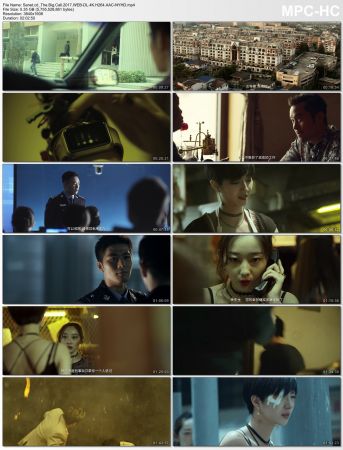 The Big Call 2017 WEB-DL 4K H264 AAC-NYHD