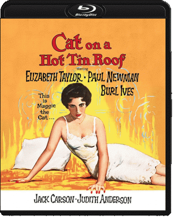Cat on a Hot Tin Roof 1958 1080p Bluray AC3 x264 AdiT