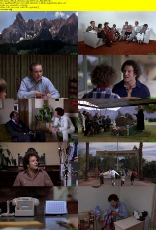 Real Life 1979 720p HDTV x264-REGRET