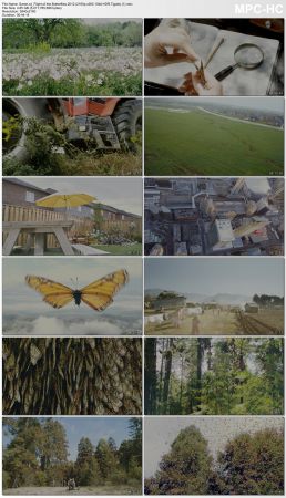 Flight of the Butterflies 2012 2160p Bluray x265 HEVC 10bit HDR AAC 7.1 Tigole QxR