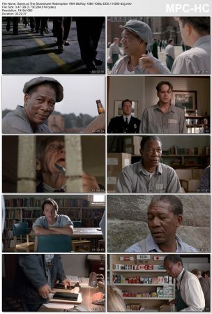 The Shawshank Redemption 1994 BluRay 10Bit 1080p DD5.1 H265-d3g 