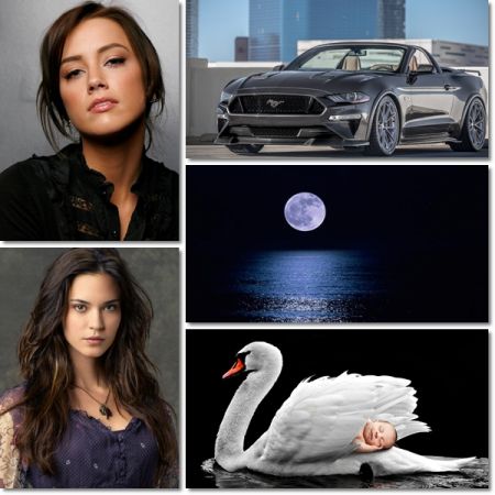 Best Beautiful Wallpapers Pack 1049