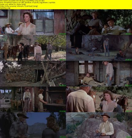 Garden Of Evil 1954 720p BRRip x264-x0r
