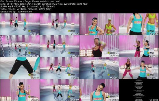Zumba Fitness: Target Zones 2010