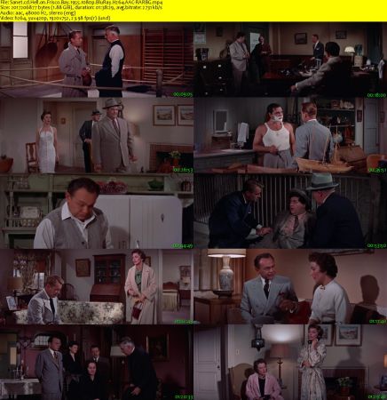 Hell on Frisco Bay 1955 1080p BluRay H264 AAC-RARBG