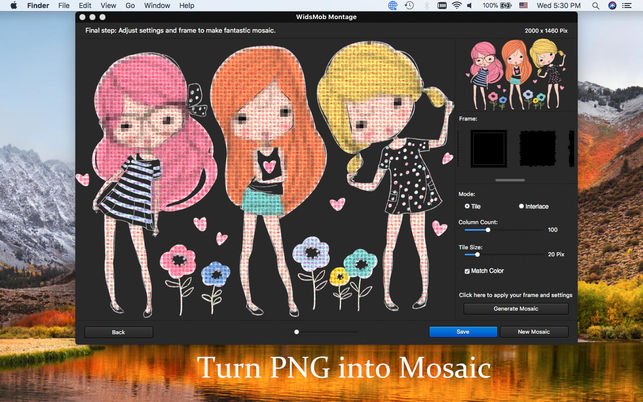 WidsMob Montage 1.3 macOS