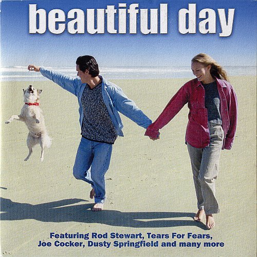 VA - Beautiful Day (2004) MP3