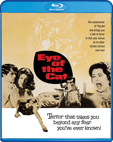 Eye Of The Cat 1969 BRRip XviD MP3-XVID