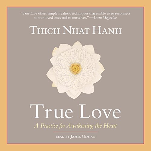 True Love: A Practice for Awakening the Heart Audiobook