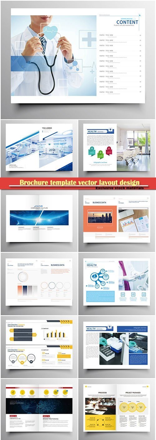 Download Download Brochure template vector layout design, corporate ...