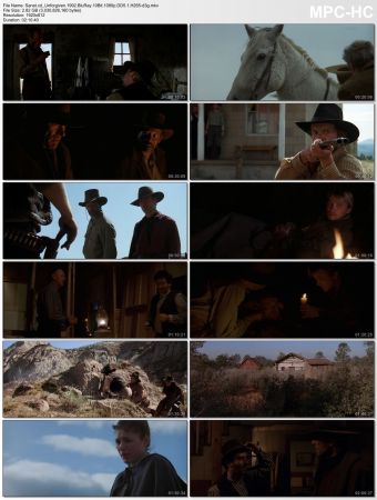Clint Eastwood 20 Film Collection BluRay 10Bit 1080p DD5.1 H265-d3g